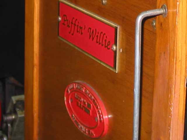 Puffin Willie